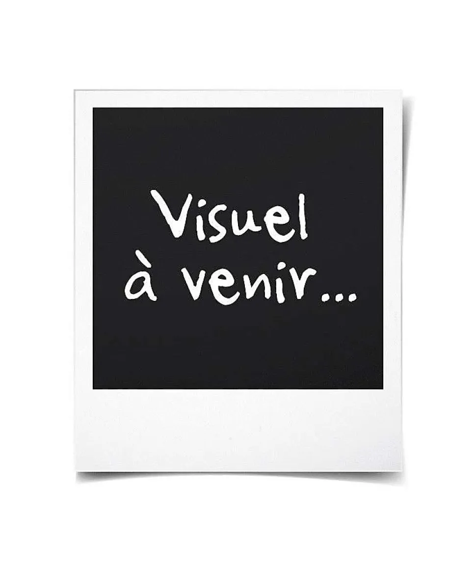 Table de cuisson à induction 60cm 3 feux 6200w noir Amica AI3531