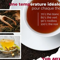 Théière bouilloire électrique 2 en 1 Turmix