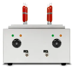 VERTES Cuiseur à pâtes Professionnel, électrique, 2x 1700 watts, 2 cuves de cuisson séparées de 6 litres chacune, 4 paniers