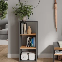 Vicco Armoire à chaussures Anthracite/chêne doré 40x90.5cm