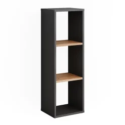 Vicco Armoire à chaussures Anthracite/chêne doré 30x90.5cm