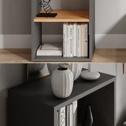 Vicco Armoire à chaussures Anthracite/chêne doré 40x80.1cm