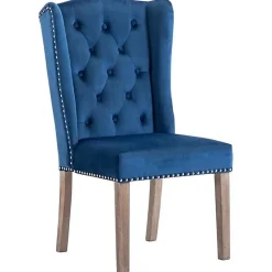 vidaXL 2x Chaises de Salle à Manger Chaises à Dîner Sièges de Salle à Manger Meubles de Cuisine Repas Maison Intérieur Bleu 305584