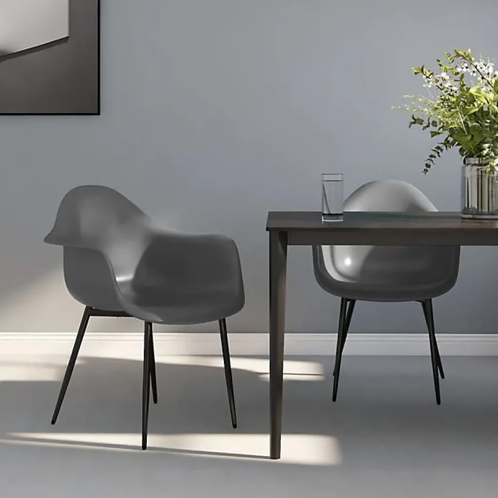 vidaXL 2x Chaises de Salle à Manger Sièges de Cuisine Chaises à Dîner Chaises de Repas Fauteuils de Cuisine Maison Intérieur 33807