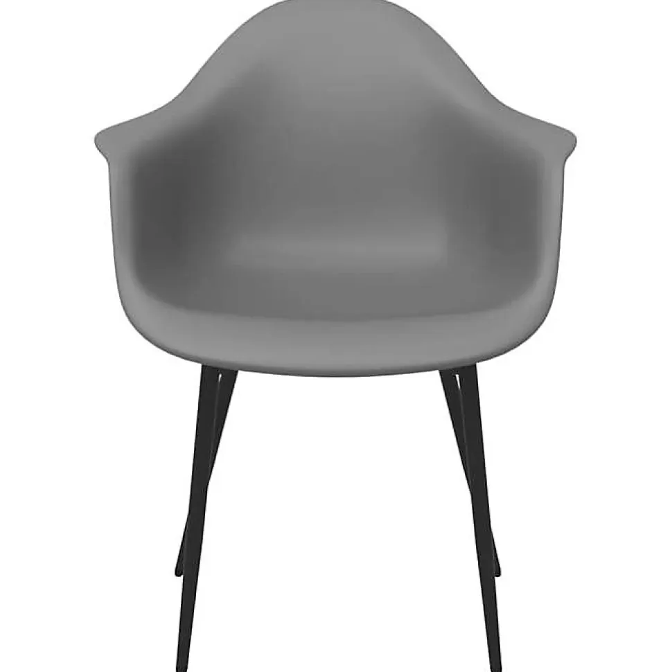 vidaXL 2x Chaises de Salle à Manger Sièges de Cuisine Chaises à Dîner Chaises de Repas Fauteuils de Cuisine Maison Intérieur 33807