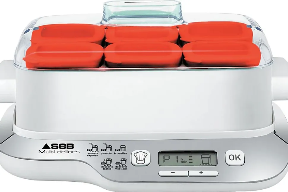 Yaourtière 6 pots de 140ml 600w Seb YG660100 multi delices express